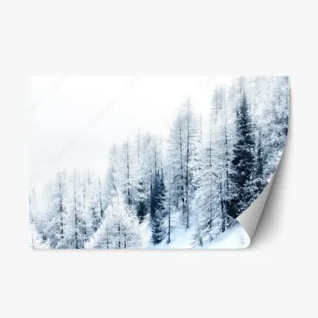 Repositionierbarer Aufkleber winterstille: verschneiter wald – Wallnifity®