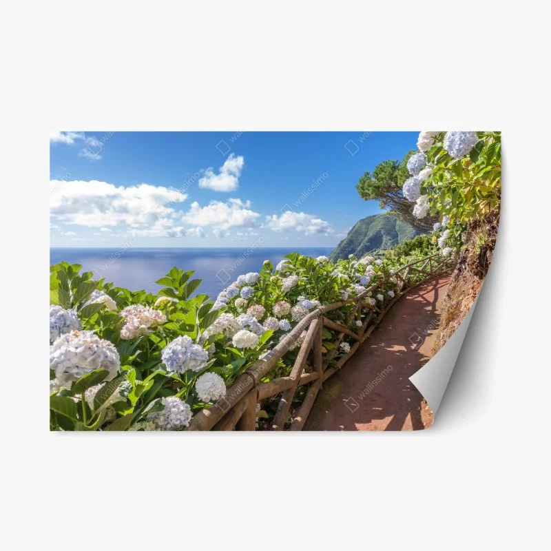 Natur – Wallnifity®