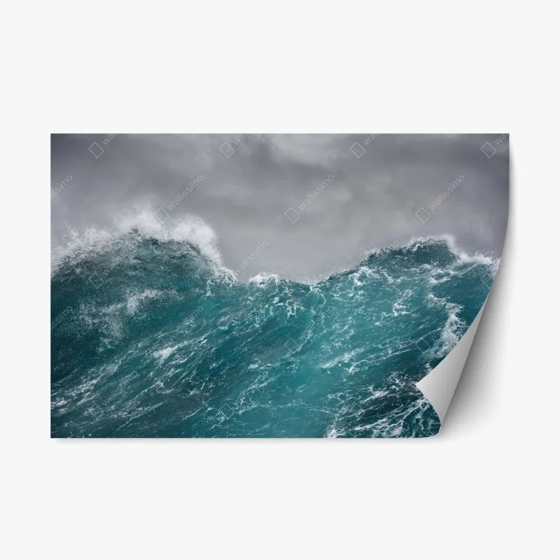 Meere & Ozeane – Wallnifity®