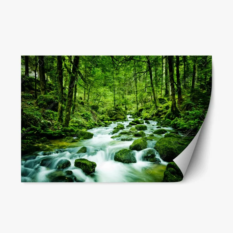 Wälder – Wallnifity®