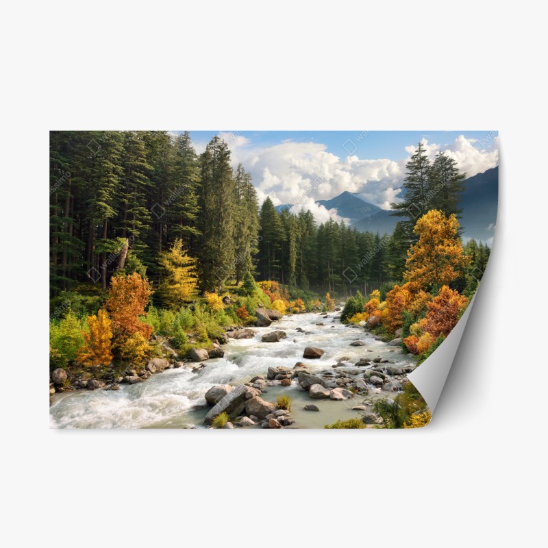 Wohnzimmer – Wallnifity®
