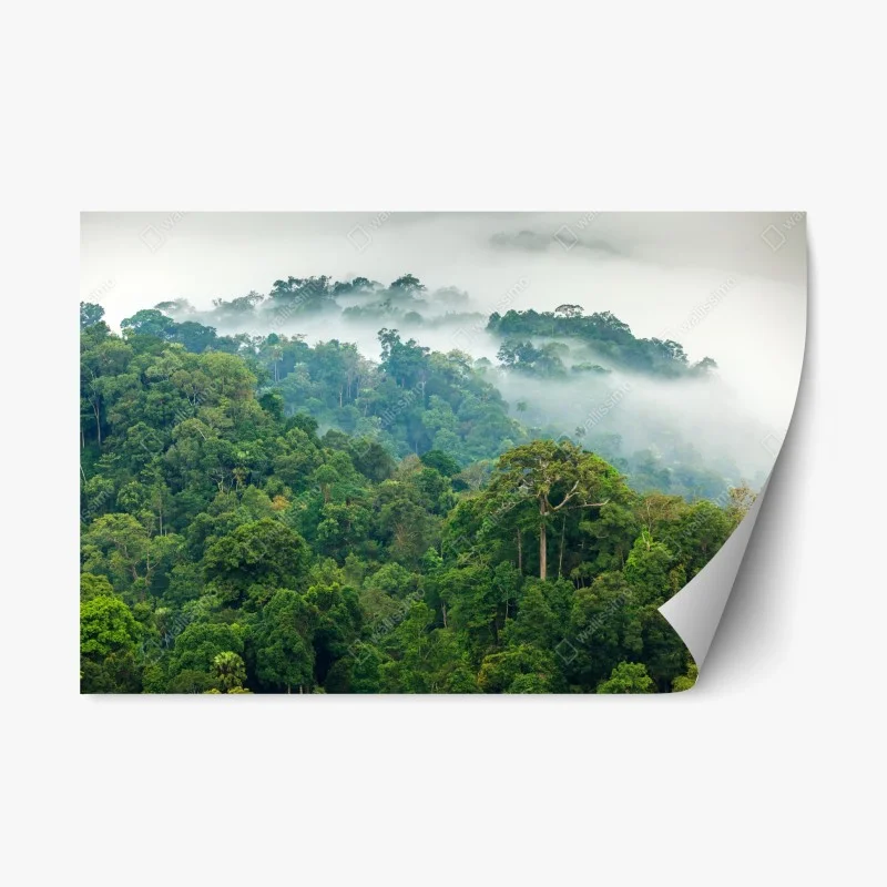 Repositionierbarer Aufkleber morgendlicher nebel über dem wald von Kaeng Krachan