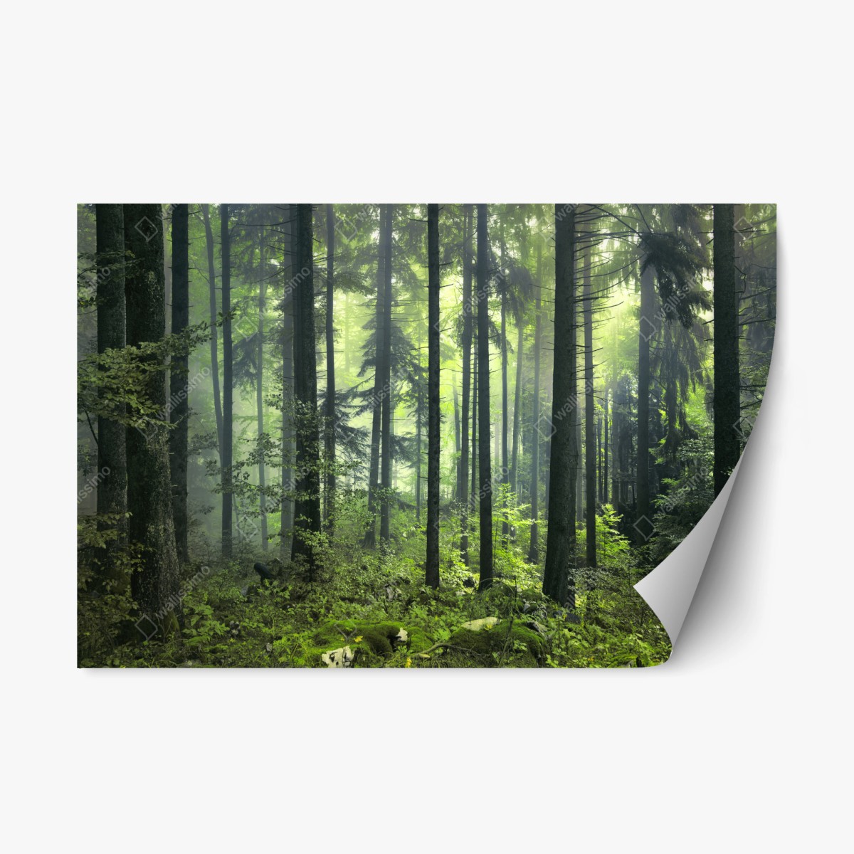 Repositionierbarer Aufkleber mystischer grüner frühlingswald – Wallnifity®