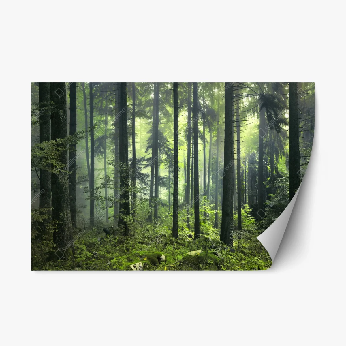 Repositionierbarer Aufkleber mystischer grüner frühlingswald – Wallnifity® Repositionierbarer Aufkleber mystischer grüner frühlingswald – Wallnifity®