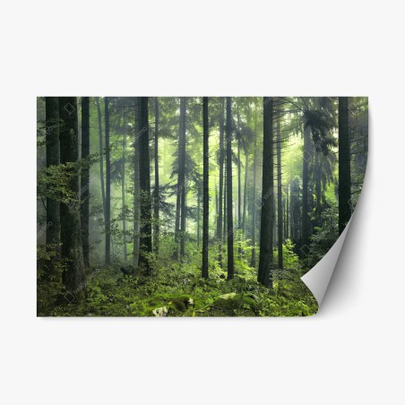 Repositionierbarer Aufkleber mystischer grüner frühlingswald – Wallnifity®