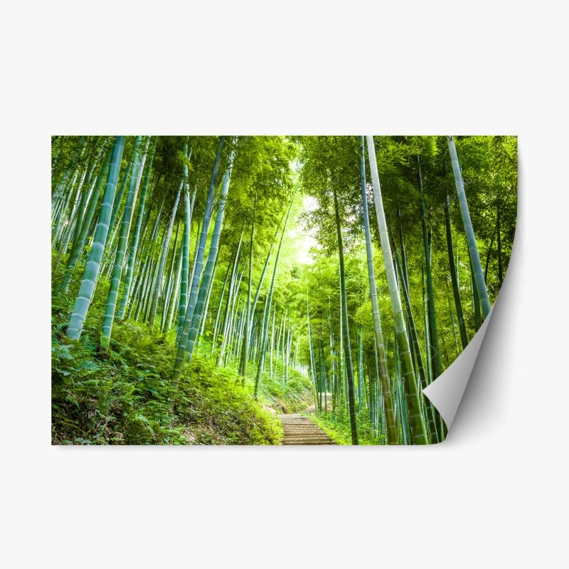 Natur – Wallnifity®