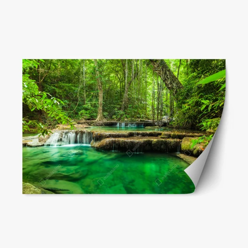 Natur – Wallnifity®