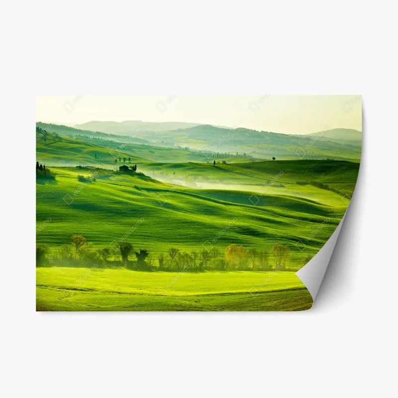 Rustikal – Wallnifity®