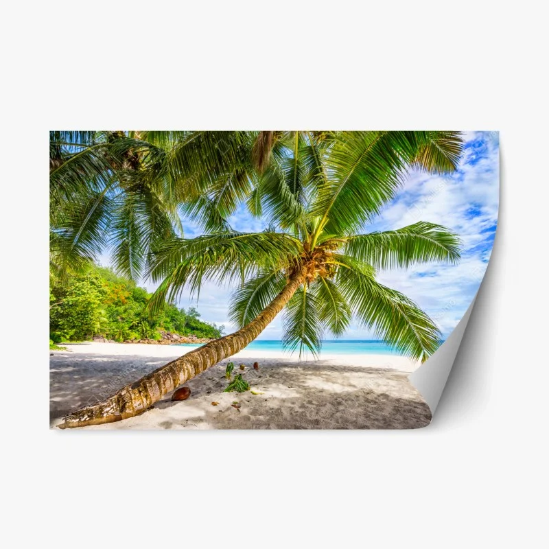 Natur – Wallnifity®