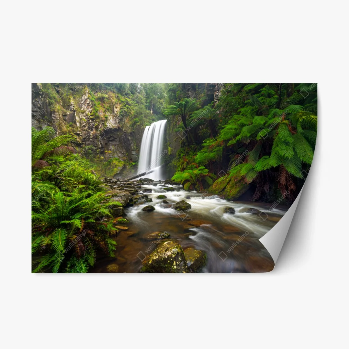 Repositionierbarer Aufkleber üppiger wasserfall im farnwald – Wallnifity® Repositionierbarer Aufkleber üppiger wasserfall im farnwald – Wallnifity®