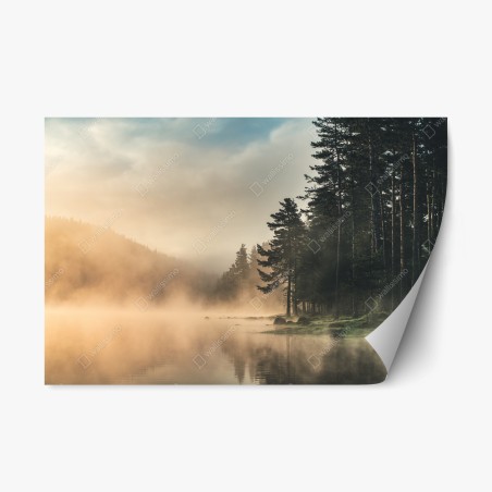 Repositionierbarer Aufkleber nebliger sonnenaufgang über waldsee – Wallnifity®