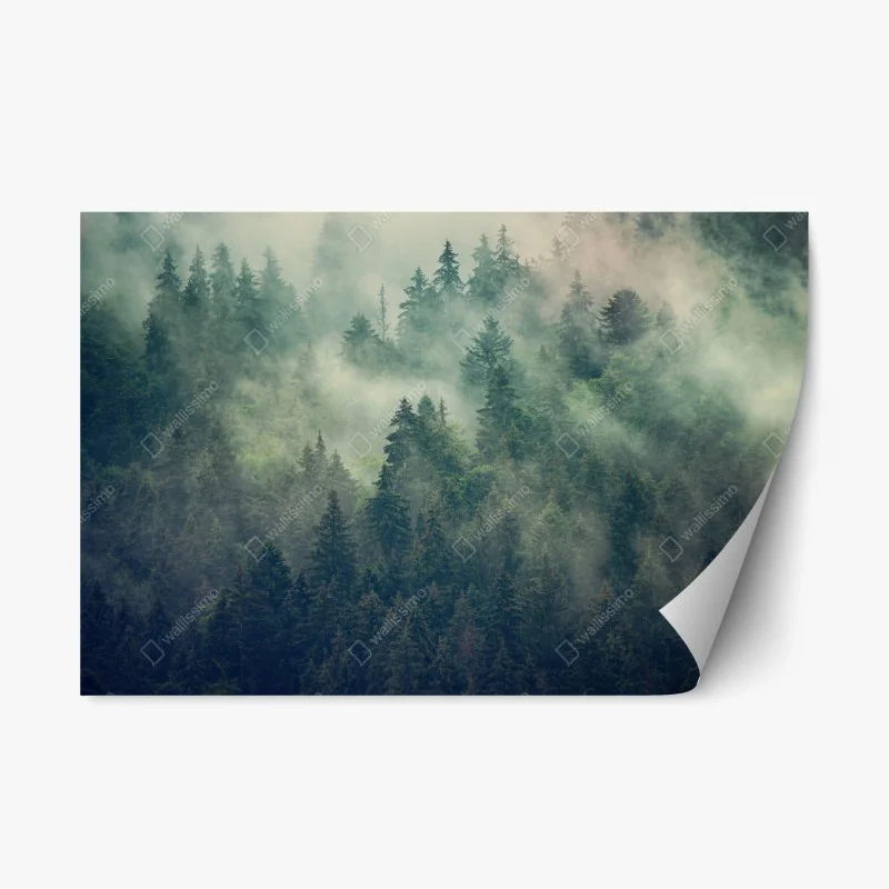 Natur – Wallnifity®