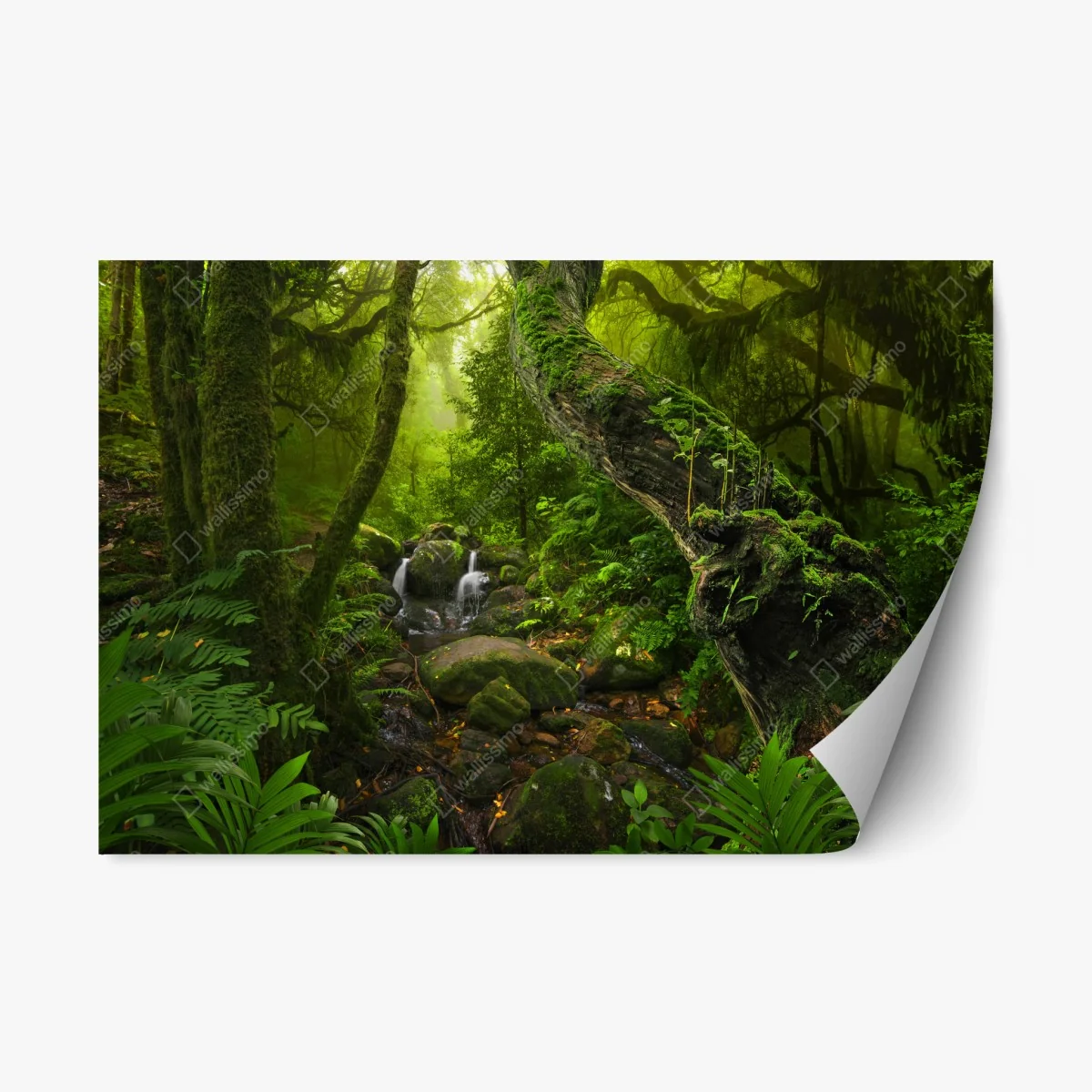 Repositionierbarer Aufkleber moosiger waldbach im morgenlicht – Wallnifity® Repositionierbarer Aufkleber moosiger waldbach im morgenlicht – Wallnifity®