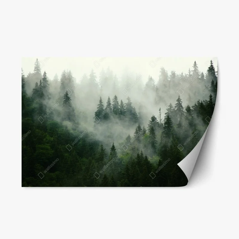 Natur – Wallnifity®
