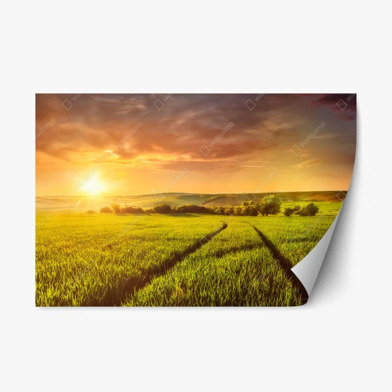 Wiesen – Wallnifity®