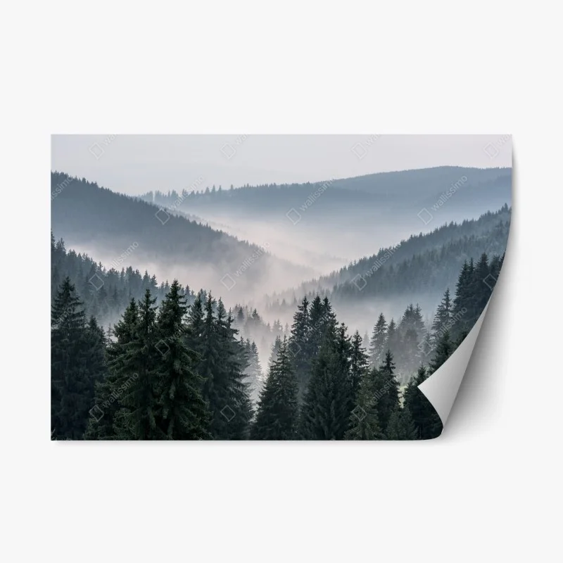 Repositionierbarer Aufkleber nebliger bergwald