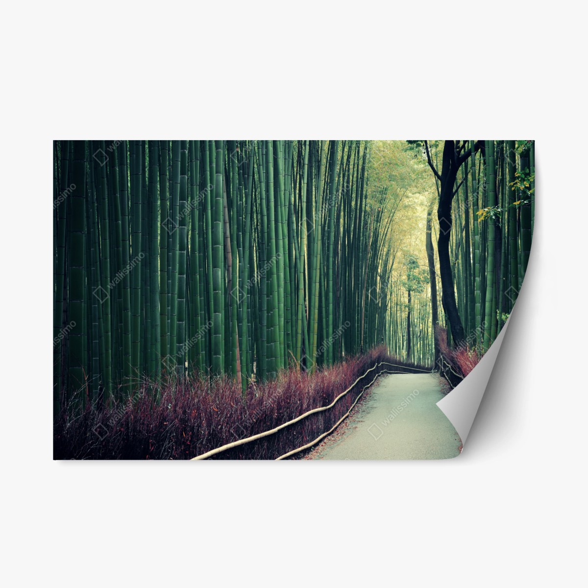 Repositionierbarer Aufkleber ruhiger bambuspfad in Arashiyama – Wallnifity®