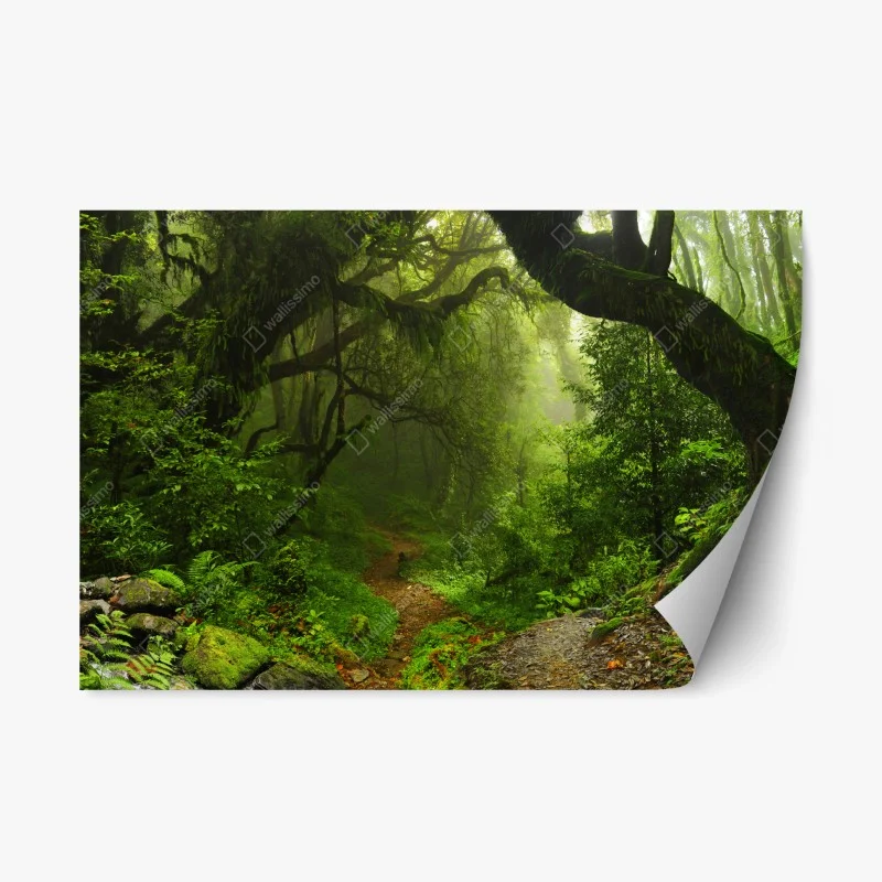 Repositionierbarer Aufkleber verwunschener moosiger waldpfad – Wallnifity®