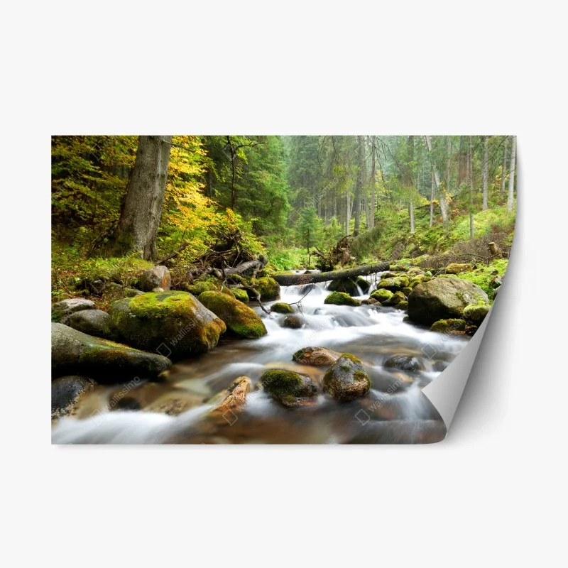 Natur – Wallnifity®