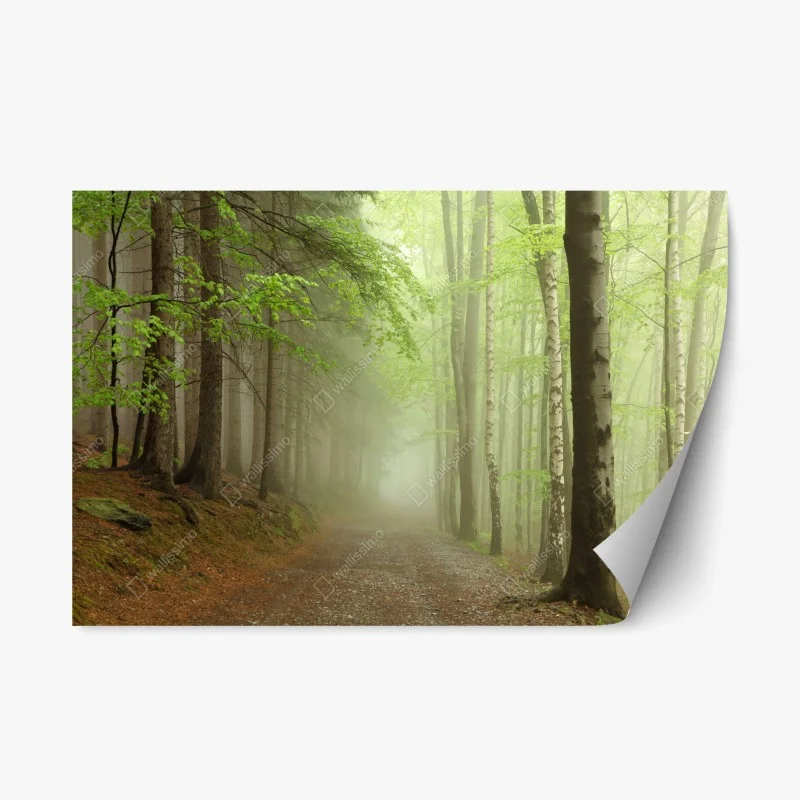 Wälder – Wallnifity®