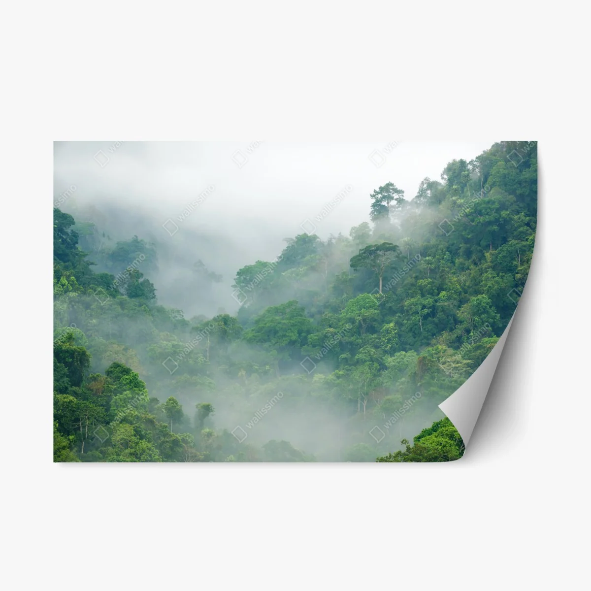 Repositionierbarer Aufkleber morgendlicher nebel über Kaeng Krachan – Wallnifity® Repositionierbarer Aufkleber morgendlicher nebel über Kaeng Krachan – Wallnifity®