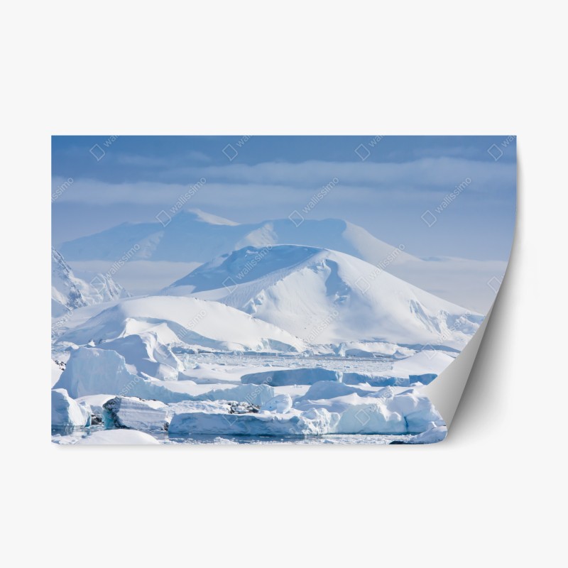 Natur – Wallnifity®