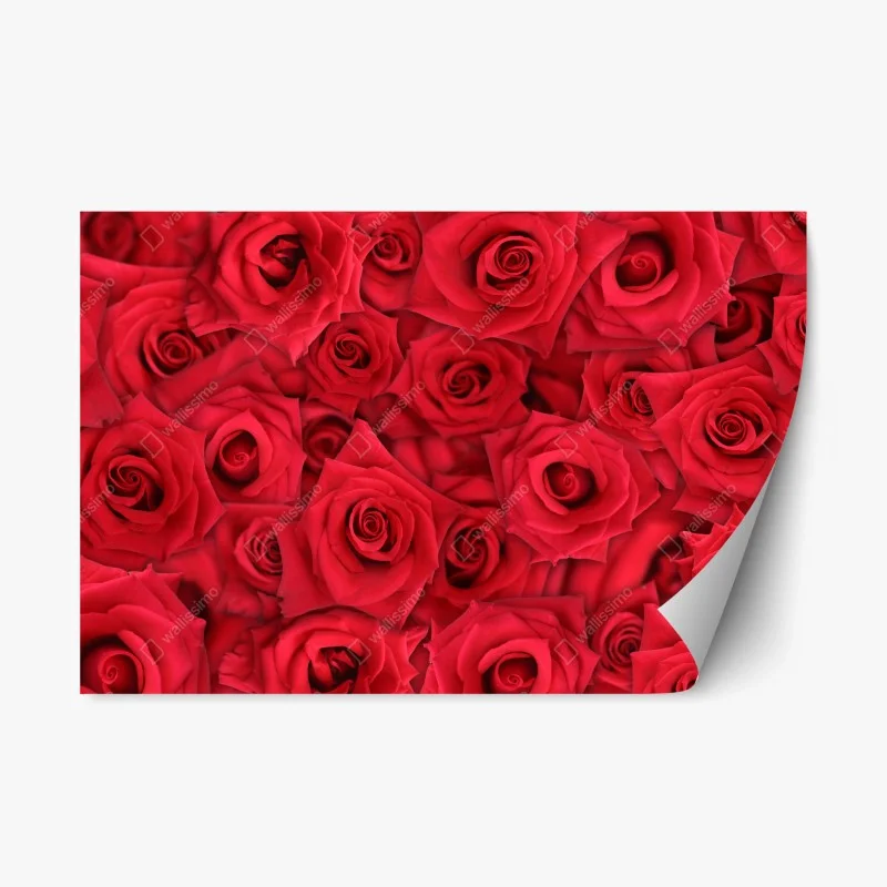 Repositionierbarer Aufkleber leuchtende rote rosen collage