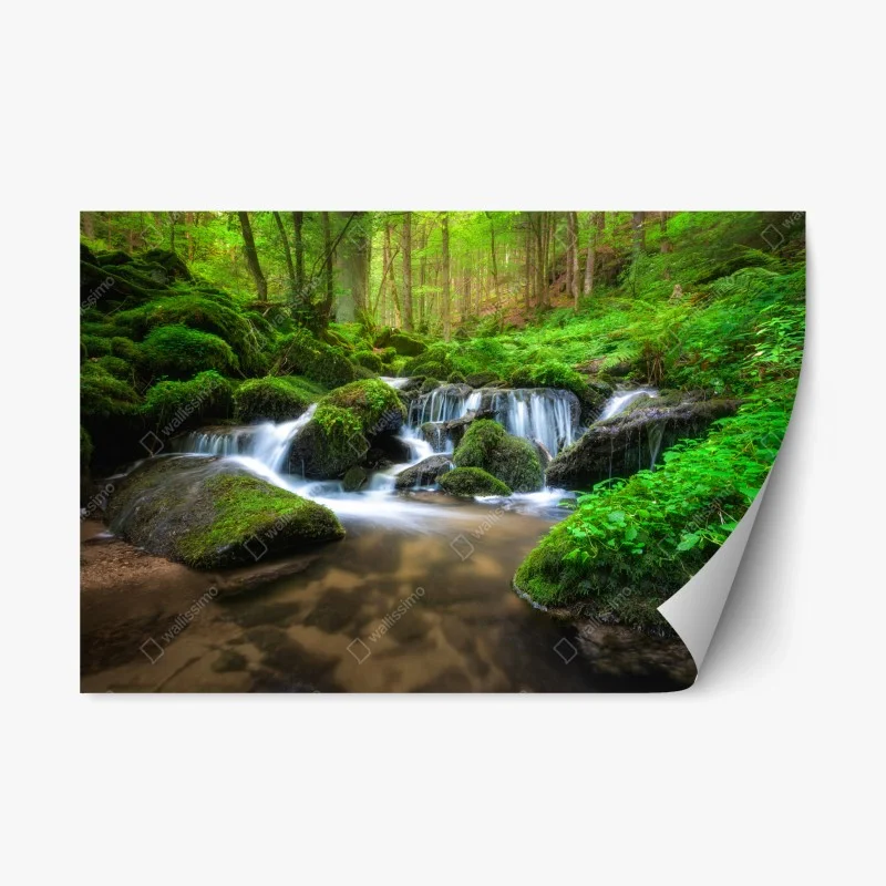 Wasserfälle – Wallnifity®