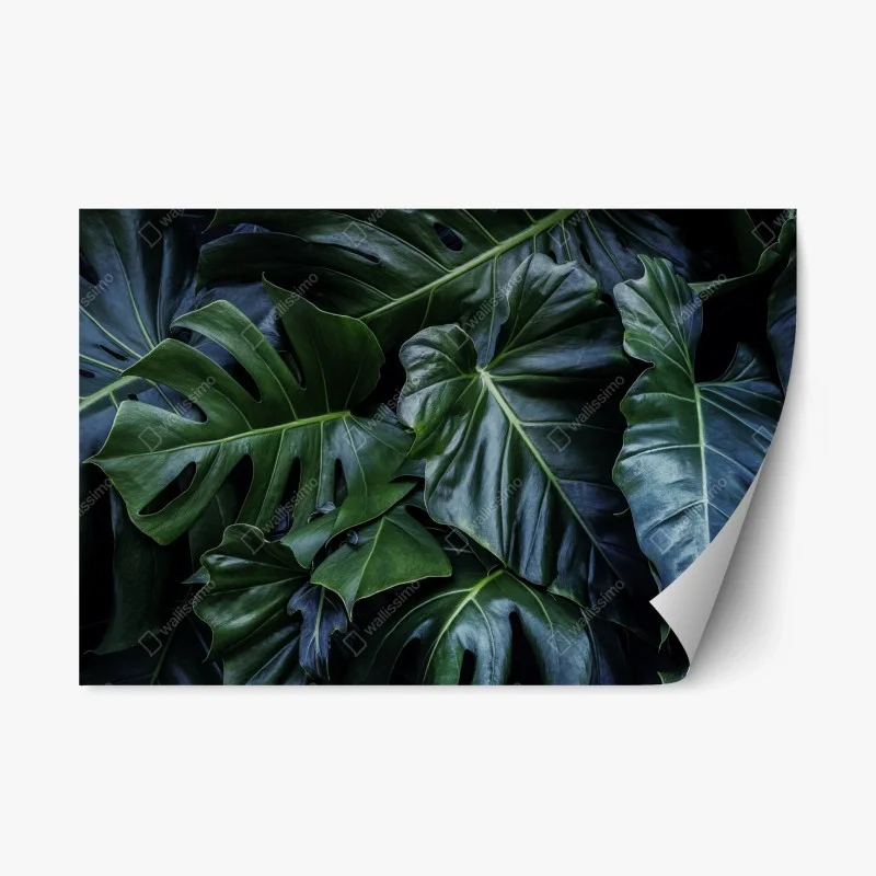 Blumen & Pflanzen – Wallnifity®