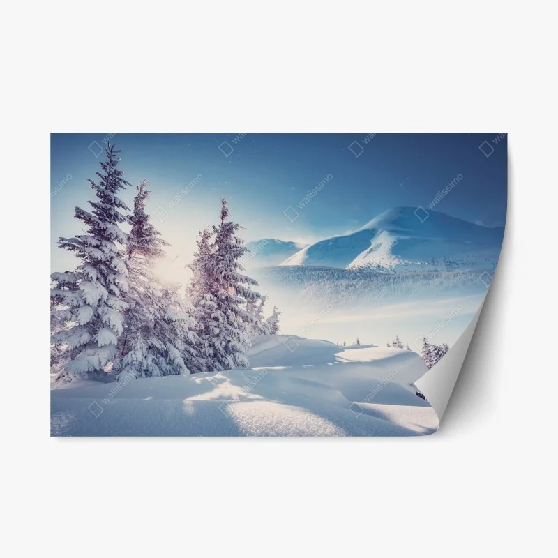 Berge – Wallnifity®