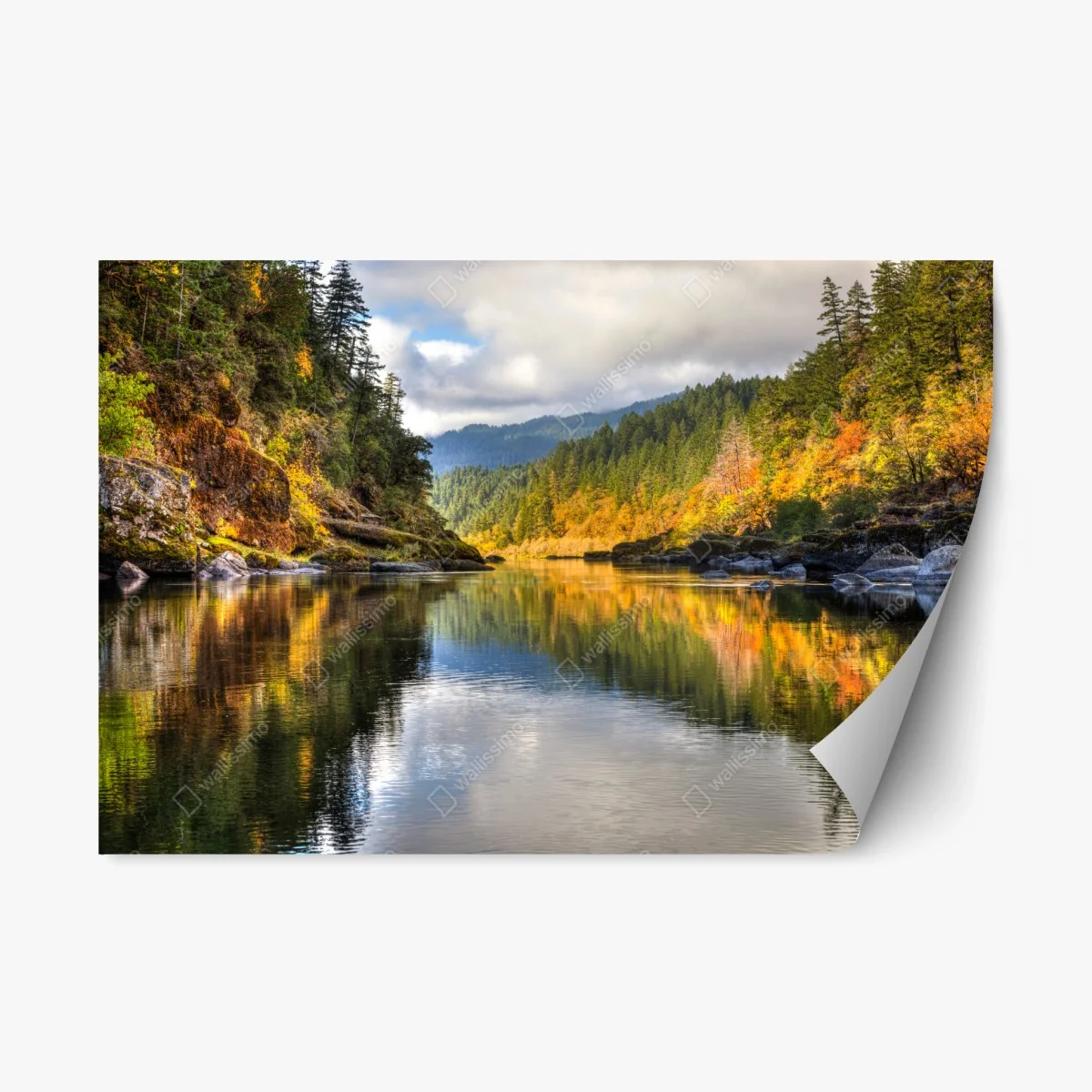 Repositionierbarer Aufkleber Rogue River herbstliche spiegelungen – Wallnifity® Repositionierbarer Aufkleber Rogue River herbstliche spiegelungen – Wallnifity®