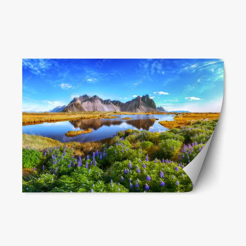 Landschaften – Wallnifity®