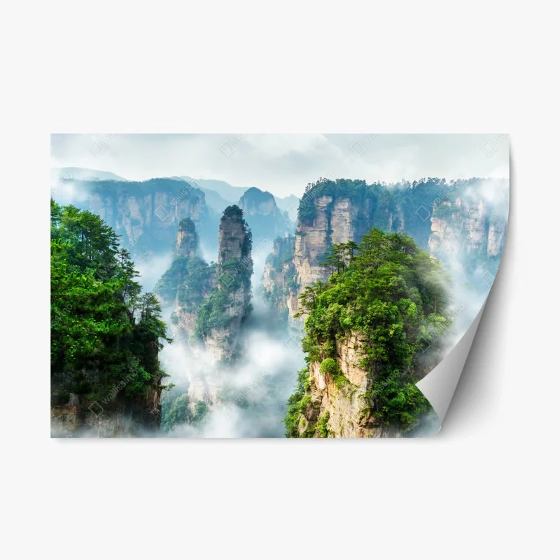 Natur – Wallnifity®