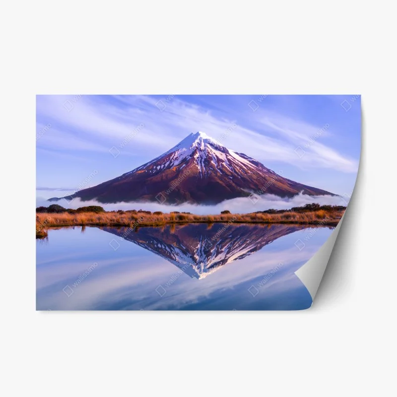 Repositionierbare Aufkleber – Wallnifity®