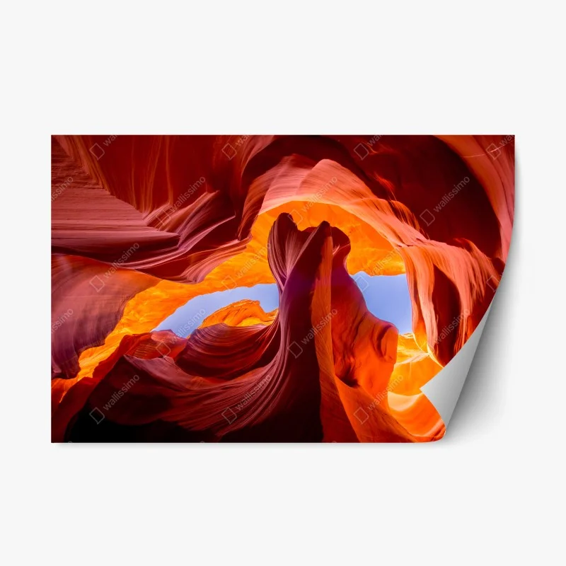Wüste – Wallnifity®