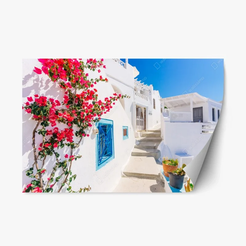 Architektur – Wallnifity®