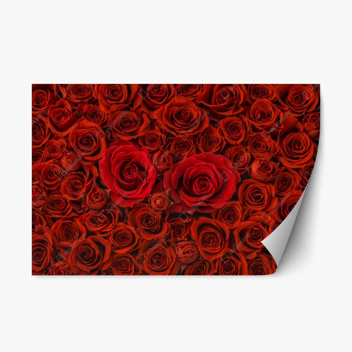 Repositionierbarer Aufkleber prunkvolle collage roter rosen – Wallnifity® Repositionierbarer Aufkleber prunkvolle collage roter rosen – Wallnifity®