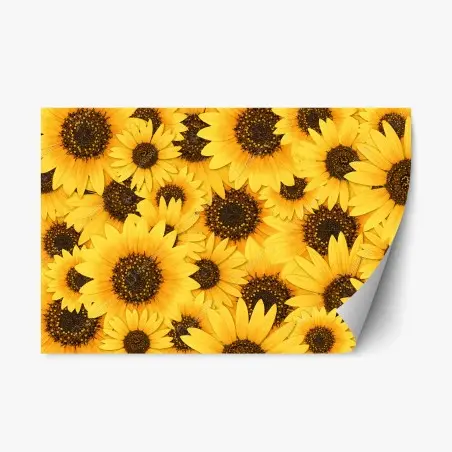 Repositionierbarer Aufkleber goldene sonnenblumen – Wallnifity®