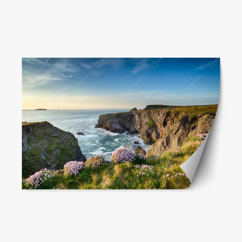 Natur – Wallnifity®