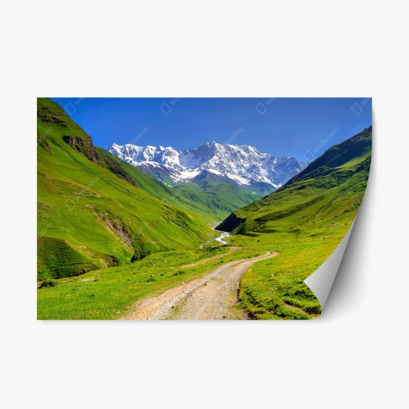 Repositionierbare Aufkleber – Wallnifity®