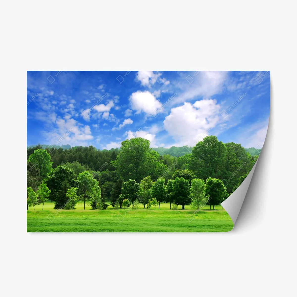 Repositionierbarer Aufkleber sommerlicher grüner wald unter blauem himmel – Wallnifity® Repositionierbarer Aufkleber sommerlicher grüner wald unter blauem himmel – Wallnifity®