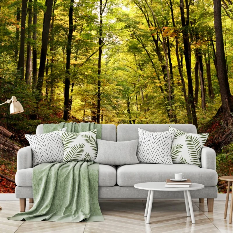 Wälder – Wallnifity®