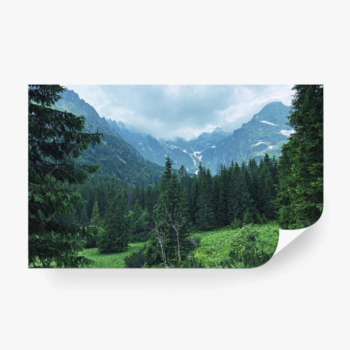 Fototapete ruhige berglandschaft mit wald – Wallnifity® Fototapete ruhige berglandschaft mit wald – Wallnifity®