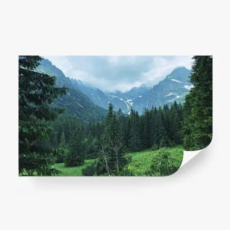 Fototapete ruhige berglandschaft mit wald – Wallnifity®
