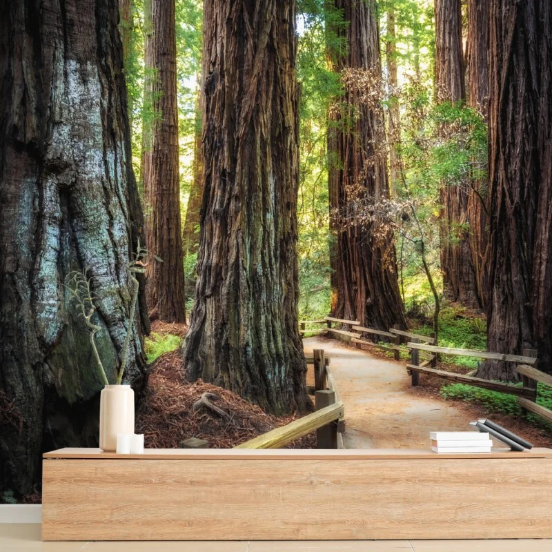 Wälder – Wallnifity®