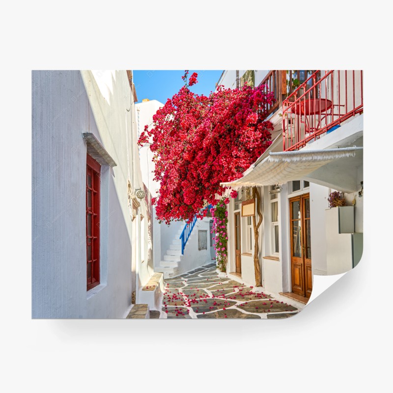 Fototapeten – Wallnifity®