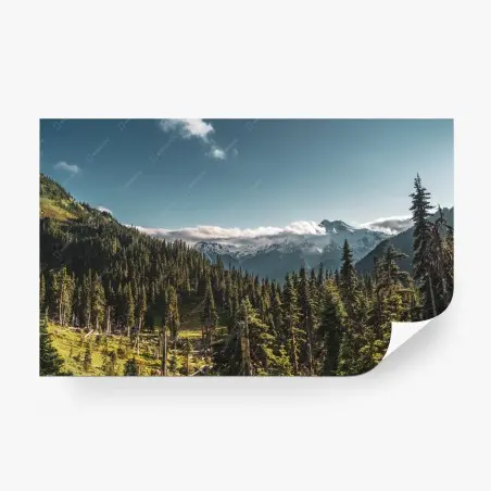 Fototapete majestätische alpine waldlandschaft – Wallnifity®