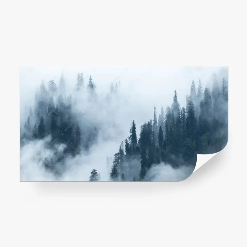 Fototapete nebliger kiefernwald – Wallnifity® Fototapete nebliger kiefernwald – Wallnifity®