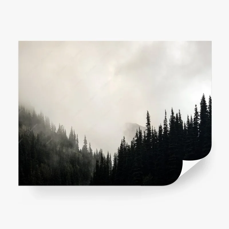 Wälder – Wallnifity®