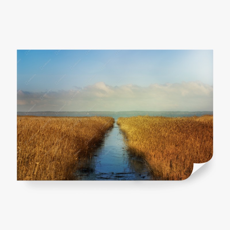Natur – Wallnifity®